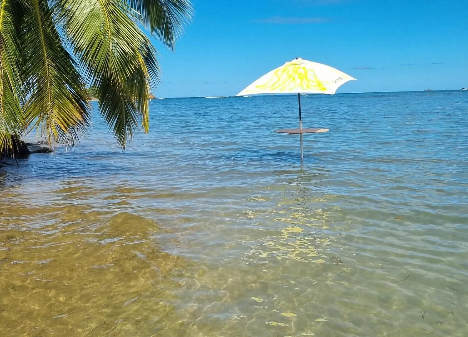 Kozy Kaz - Les Pieds Dans L Eau contacts