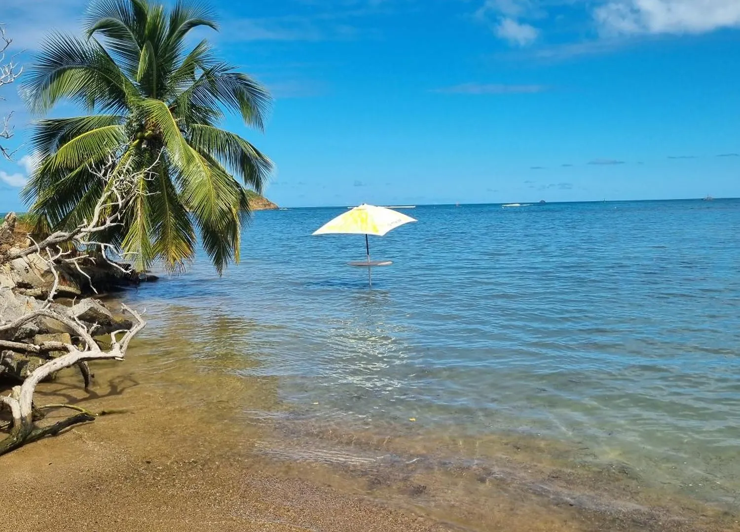 Kozy Kaz - Les Pieds Dans L Eau Apartment La Trinite Martinique